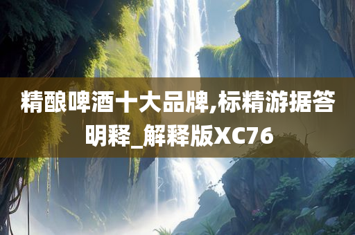 精酿啤酒十大品牌,标精游据答明释_解释版XC76