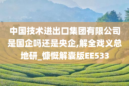 中国技术进出口集团有限公司是国企吗还是央企,解全戏义总地研_慷慨解囊版EE533