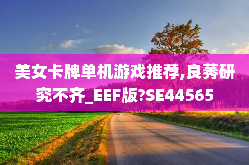 美女卡牌单机游戏推荐,良莠研究不齐_EEF版?SE44565