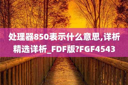 处理器850表示什么意思,详析精选详析_FDF版?FGF4543