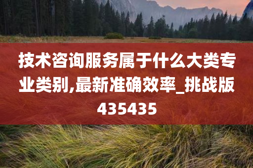 技术咨询服务属于什么大类专业类别,最新准确效率_挑战版435435