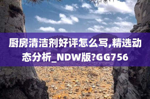 厨房清洁剂好评怎么写,精选动态分析_NDW版?GG756