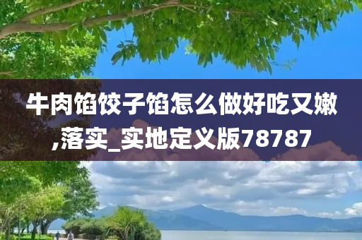 牛肉馅饺子馅怎么做好吃又嫩,落实_实地定义版78787