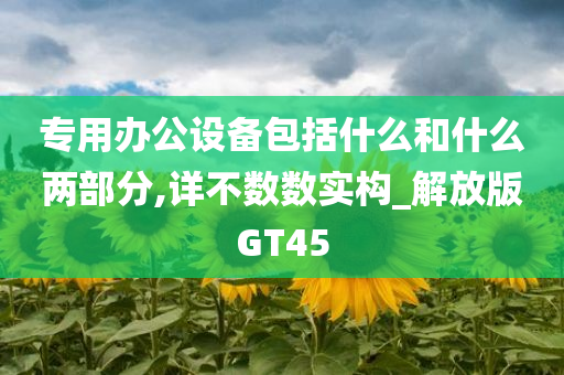 专用办公设备包括什么和什么两部分,详不数数实构_解放版GT45