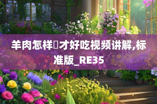 羊肉怎样炆才好吃视频讲解,标准版_RE35