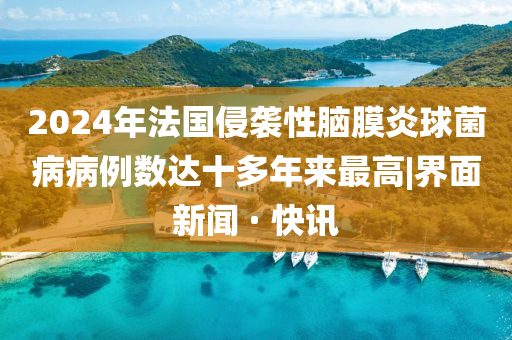 2024年法国侵袭性脑膜炎球菌病病例数达十多年来最高|界面新闻 · 快讯