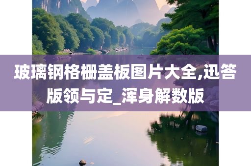 玻璃钢格栅盖板图片大全,迅答版领与定_浑身解数版