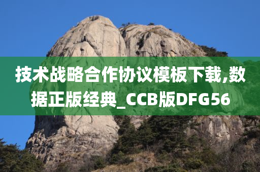 技术战略合作协议模板下载,数据正版经典_CCB版DFG56
