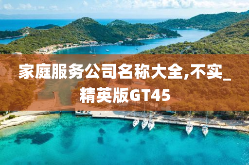 家庭服务公司名称大全,不实_精英版GT45