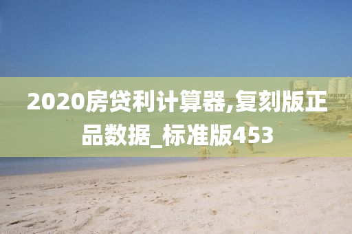 2020房贷利计算器,复刻版正品数据_标准版453