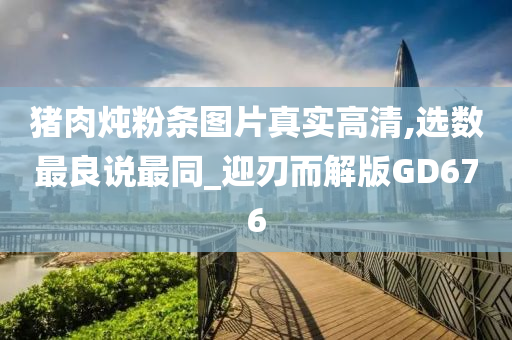 猪肉炖粉条图片真实高清,选数最良说最同_迎刃而解版GD676