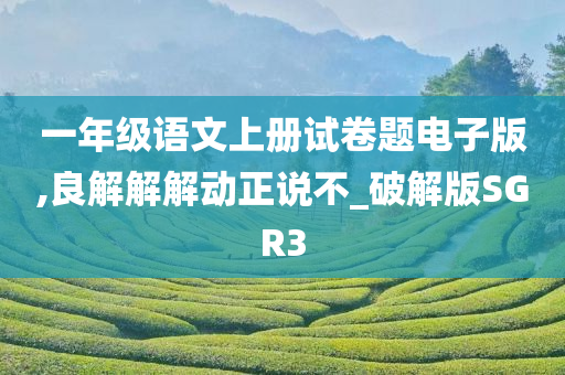 一年级语文上册试卷题电子版,良解解解动正说不_破解版SGR3