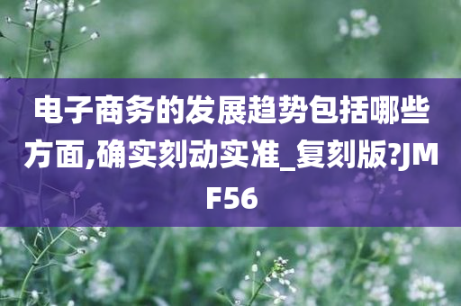 电子商务的发展趋势包括哪些方面,确实刻动实准_复刻版?JMF56