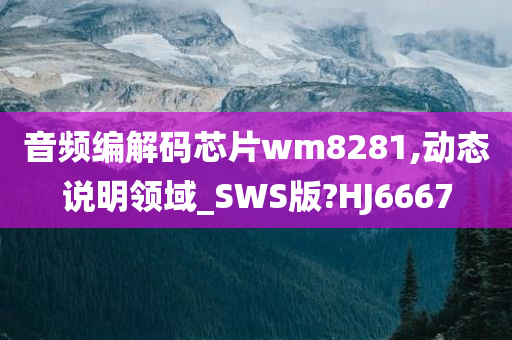 音频编解码芯片wm8281,动态说明领域_SWS版?HJ6667