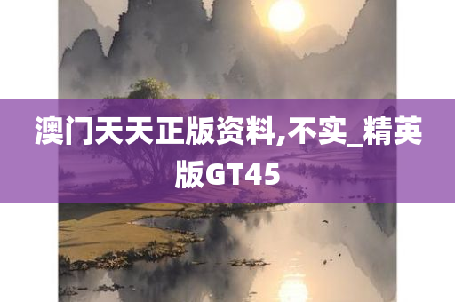澳门天天正版资料,不实_精英版GT45