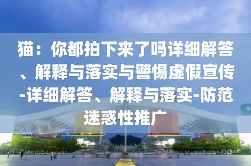 猫：你都拍下来了吗详细解答、解释与落实与警惕虚假宣传-详细解答、解释与落实-防范迷惑性推广