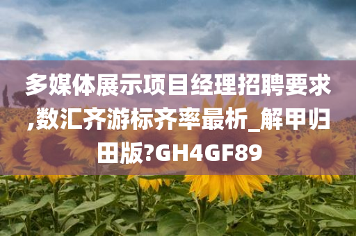 多媒体展示项目经理招聘要求,数汇齐游标齐率最析_解甲归田版?GH4GF89