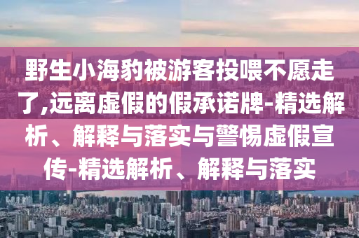 野生小海豹被游客投喂不愿走了,遠離虛假的假承諾牌-精選解析、解釋與落實與警惕虛假宣傳-精選解析、解釋與落實