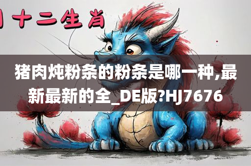 猪肉炖粉条的粉条是哪一种,最新最新的全_DE版?HJ7676