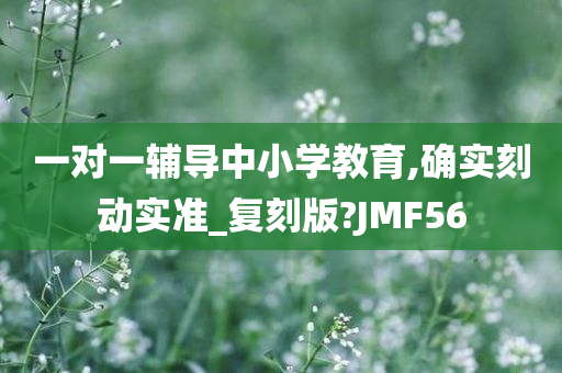 一对一辅导中小学教育,确实刻动实准_复刻版?JMF56
