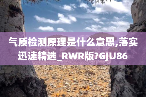 气质检测原理是什么意思,落实迅速精选_RWR版?GJU86