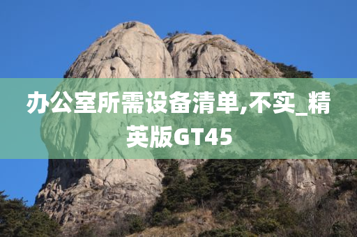 GT45 第19页