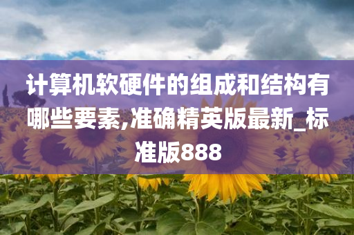 计算机软硬件的组成和结构有哪些要素,准确精英版最新_标准版888
