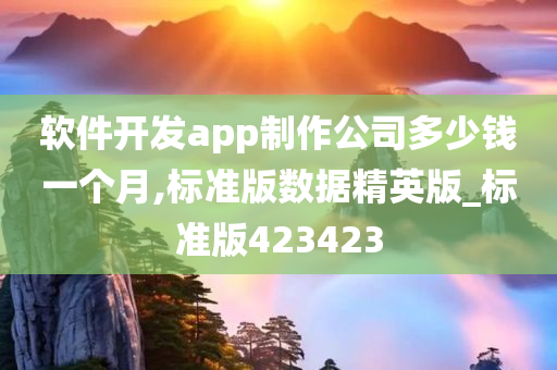 软件开发app制作公司多少钱一个月,标准版数据精英版_标准版423423今晚必出三肖2025_2025新澳门精准免费提供·精确判断