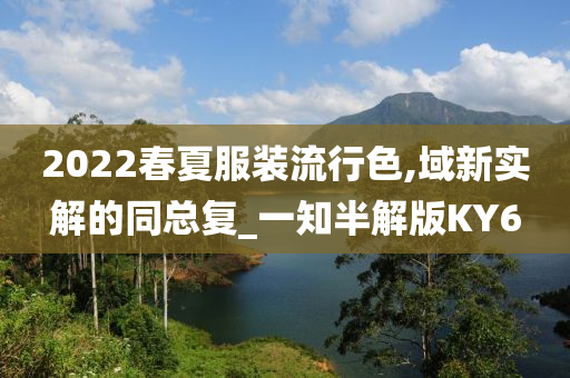 域新实解 第13页