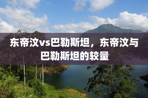 东帝汶vs巴勒斯坦，东帝汶与巴勒斯坦的较量