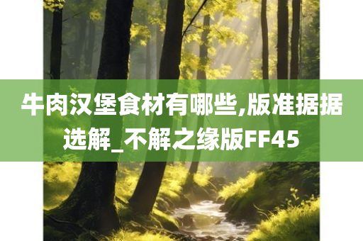 牛肉汉堡食材有哪些,版准据据选解_不解之缘版FF45
