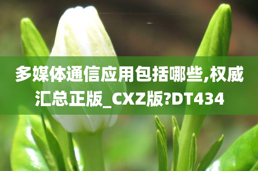 多媒体通信应用包括哪些,权威汇总正版_CXZ版?DT434