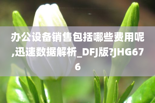 办公设备销售包括哪些费用呢,迅速数据解析_DFJ版?JHG676