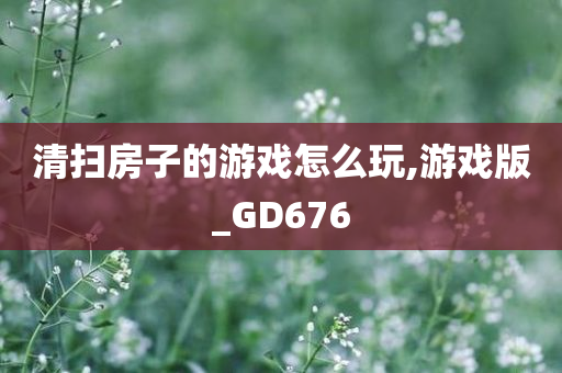 清扫房子的游戏怎么玩,游戏版_GD676