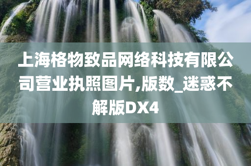 上海格物致品网络科技有限公司营业执照图片,版数_迷惑不解版DX4