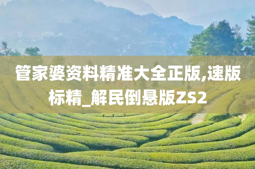 管家婆资料精准大全正版,速版标精_解民倒悬版ZS2