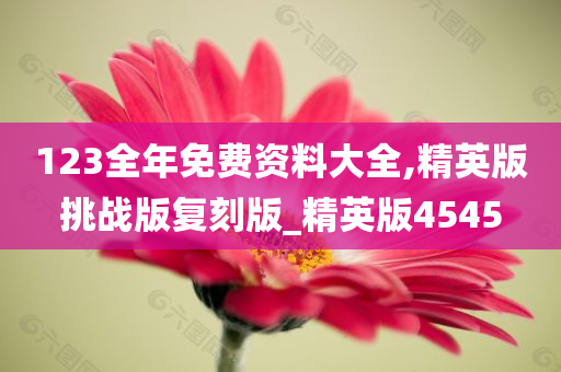123全年免费资料大全,精英版挑战版复刻版_精英版4545