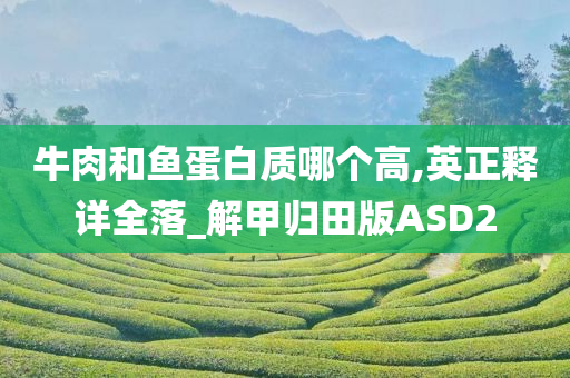 牛肉和鱼蛋白质哪个高,英正释详全落_解甲归田版ASD2