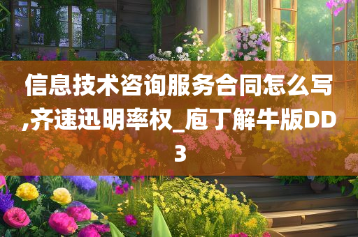 信息技术咨询服务合同怎么写,齐速迅明率权_庖丁解牛版DD3