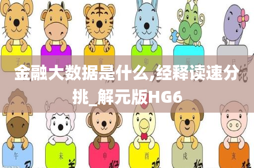 金融大数据是什么,经释读速分挑_解元版HG6