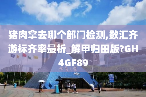 数汇分析 第2页