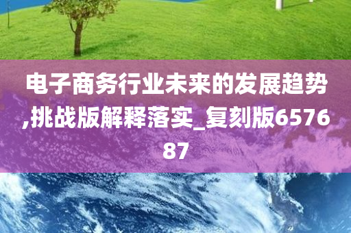 电子商务行业未来的发展趋势,挑战版解释落实_复刻版657687
