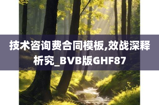 技术咨询费合同模板,效战深释析究_BVB版GHF87