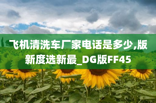 飞机清洗车厂家电话是多少,版新度选新最_DG版FF45