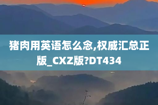 猪肉用英语怎么念,权威汇总正版_CXZ版?DT434