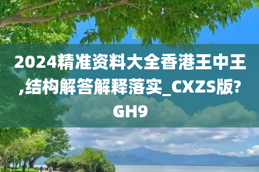 2024精准资料大全香港王中王,结构解答解释落实_CXZS版?GH9