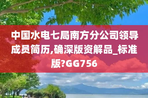 中国水电七局南方分公司领导成员简历,确深版资解品_标准版?GG756
