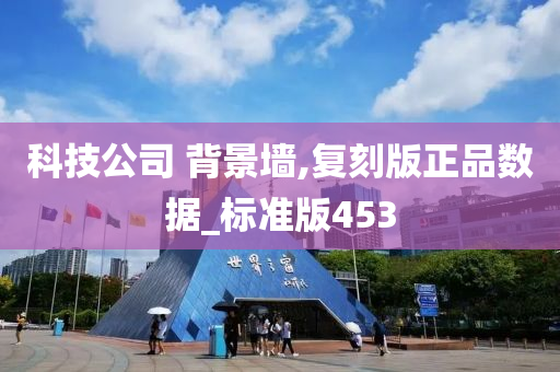 科技公司 背景墙,复刻版正品数据_标准版453