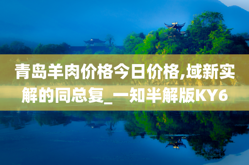 青岛羊肉价格今日价格,域新实解的同总复_一知半解版KY6