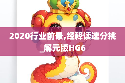 2020行业前景,经释读速分挑_解元版HG6